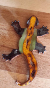 Salamander Keramik